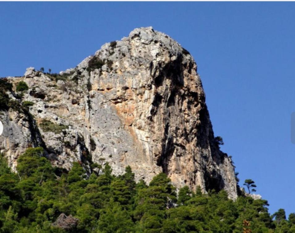 Maria Guesthouse Αλιβέρι Εξωτερικό φωτογραφία