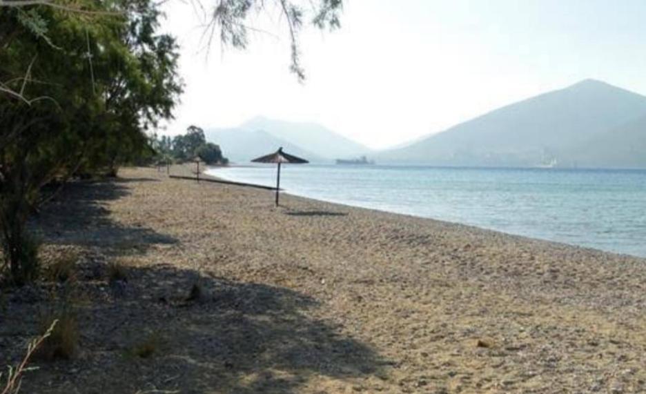 Maria Guesthouse Αλιβέρι Εξωτερικό φωτογραφία